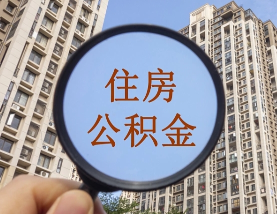 伊犁退休后查不到公积金明细了吗（退休后公积金查询不到原因）